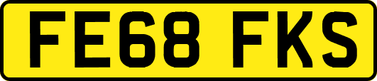FE68FKS