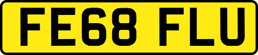 FE68FLU