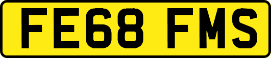 FE68FMS