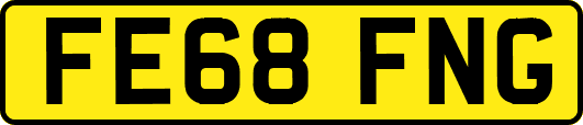 FE68FNG