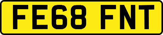 FE68FNT