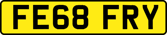 FE68FRY