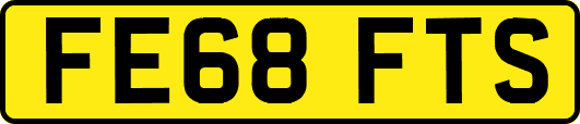FE68FTS