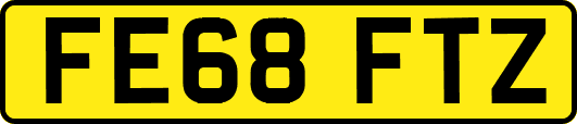 FE68FTZ