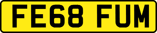 FE68FUM