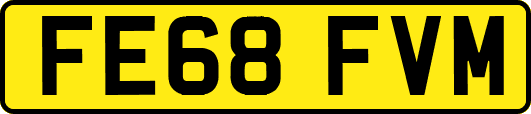FE68FVM