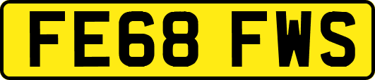 FE68FWS