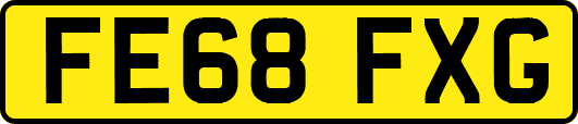 FE68FXG