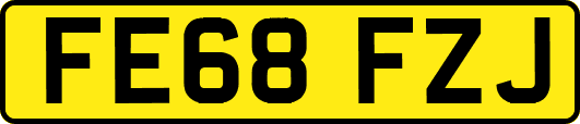 FE68FZJ