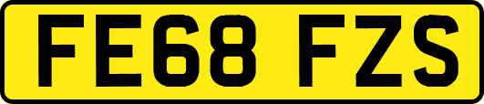 FE68FZS