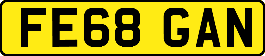 FE68GAN