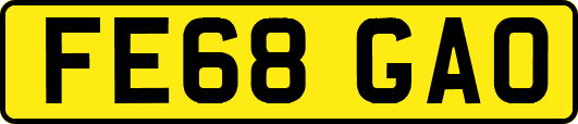 FE68GAO
