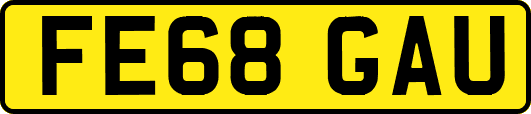 FE68GAU