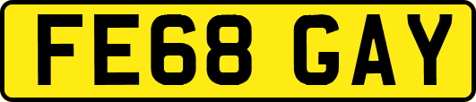 FE68GAY