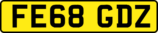 FE68GDZ