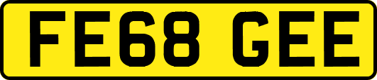 FE68GEE