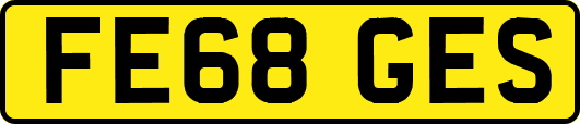 FE68GES