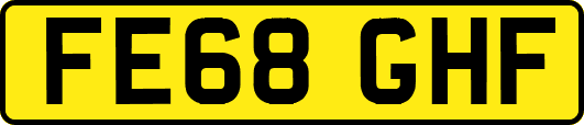FE68GHF