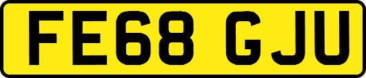 FE68GJU