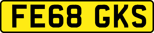 FE68GKS