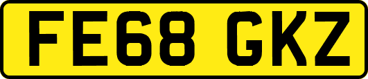FE68GKZ