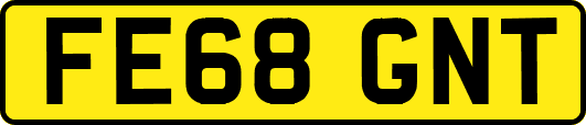 FE68GNT