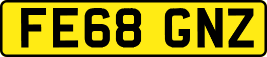 FE68GNZ