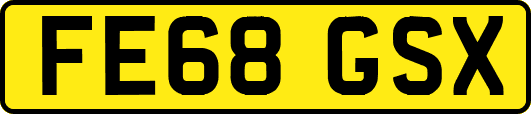FE68GSX