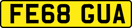 FE68GUA