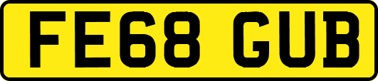 FE68GUB