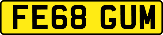 FE68GUM