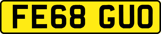 FE68GUO