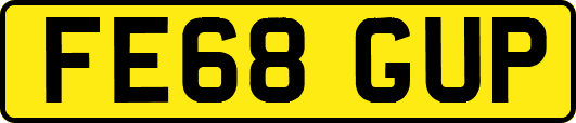 FE68GUP