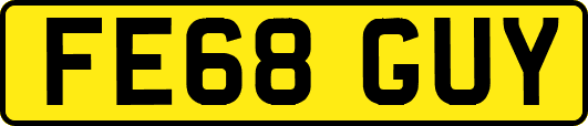 FE68GUY