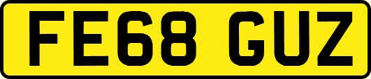 FE68GUZ