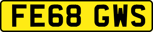 FE68GWS