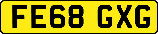 FE68GXG