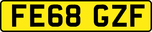 FE68GZF