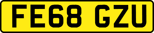 FE68GZU