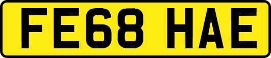 FE68HAE