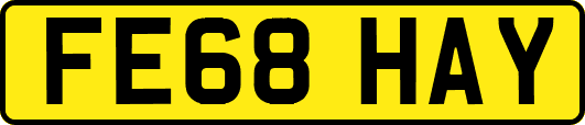 FE68HAY