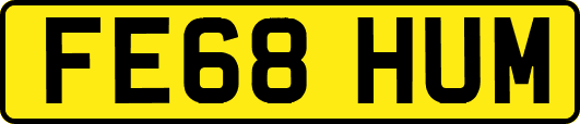 FE68HUM