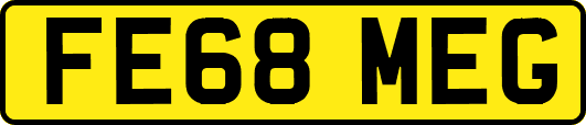 FE68MEG