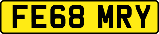 FE68MRY