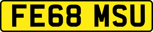 FE68MSU
