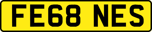 FE68NES