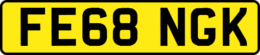FE68NGK
