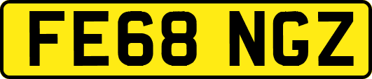 FE68NGZ