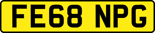 FE68NPG