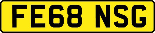 FE68NSG